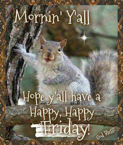 good morning friday funny memes squirrel